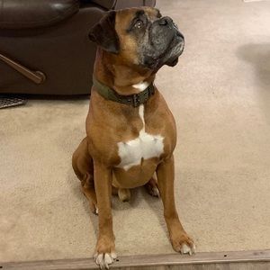 Meet your Posher, Barry